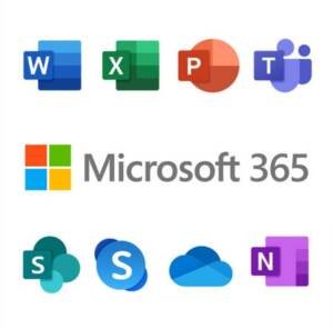 MS 365